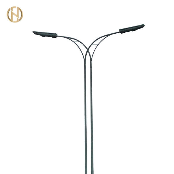 Ground Mounted 3m 6m 8m 12m Customized Hot Dip Galvanized Octagonal Outdoor Lamp Post for Street Lighting