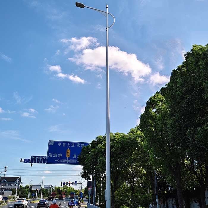 Customizable Design Solar Powered Light Poles Hot Dip Galvanized Steel