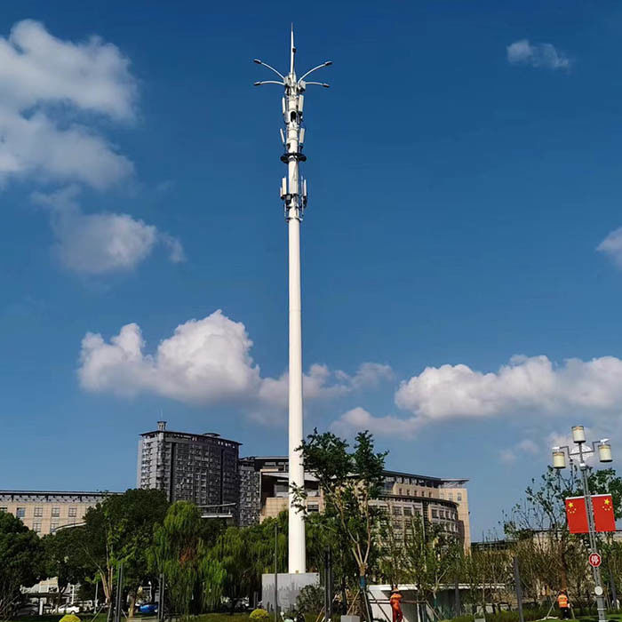 Customized Hot Dip Galvanized Telecom Monopoles With Platform Or Antennas