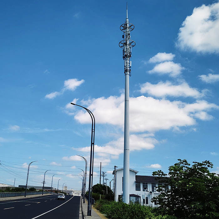 Hot Dip Galvanized Telecommunication Post With Ladders And Platform For High Strength Low Alloy Structural Steel Plates